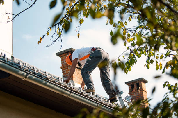 Best Flat Roof Repair Services  in Whitefish, MT